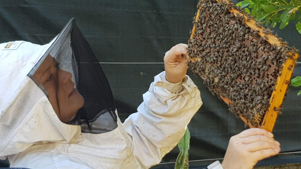 Rendez-vous Natures - Activités sensorielles - Découverte du monde fabuleux des abeilles